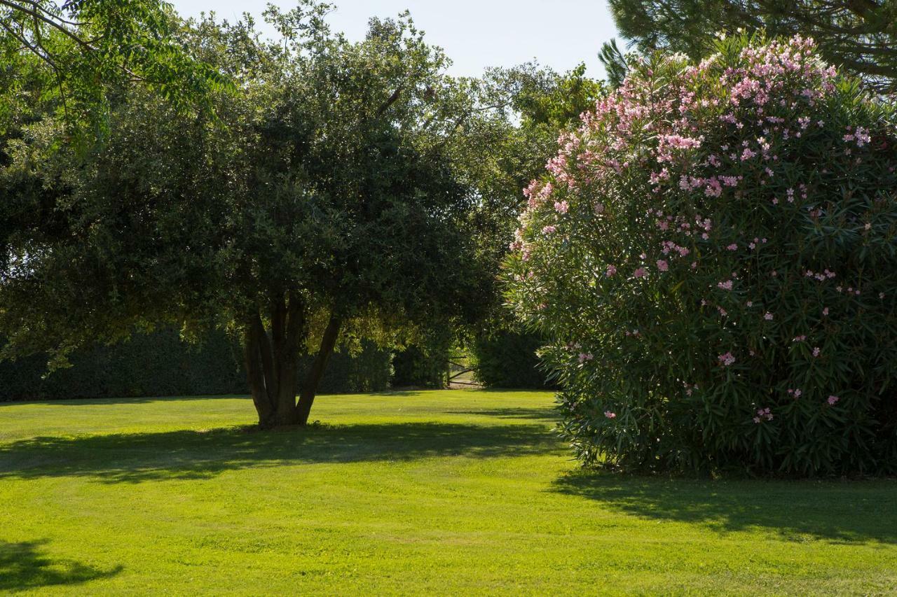Villa Aia Vecchia Bibbona Kültér fotó
